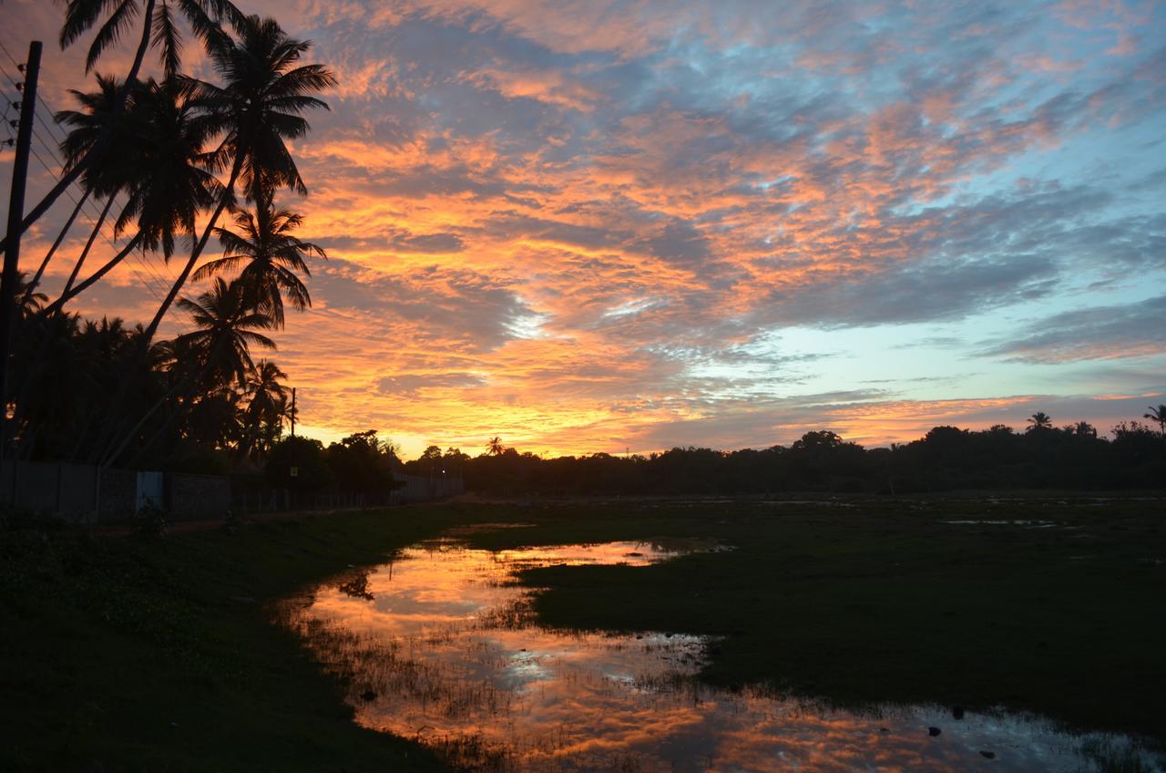 Green Parrot Beach Resort Tangalle Exteriér fotografie