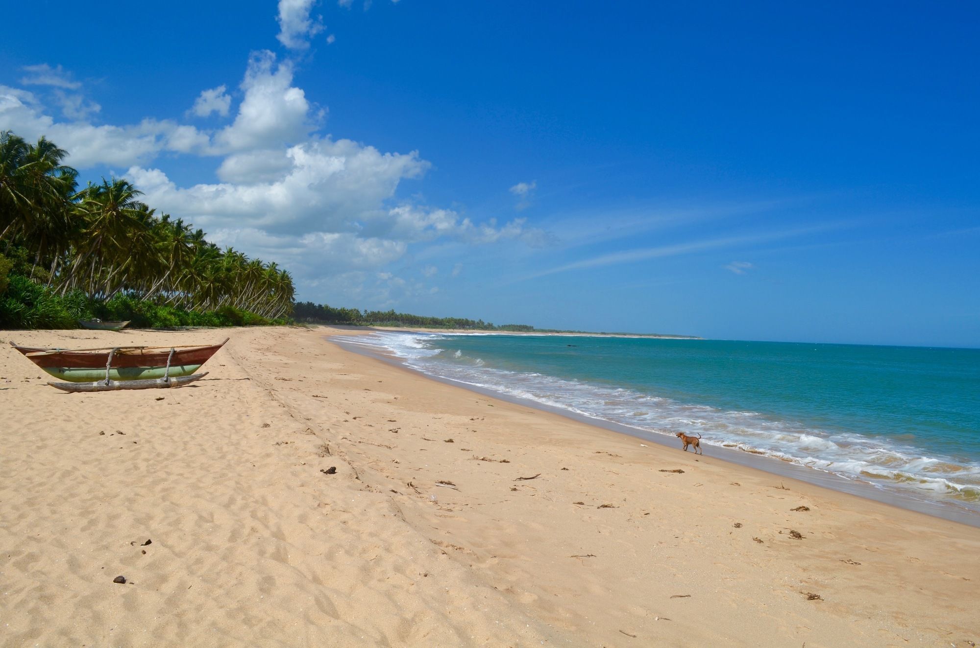 Green Parrot Beach Resort Tangalle Exteriér fotografie